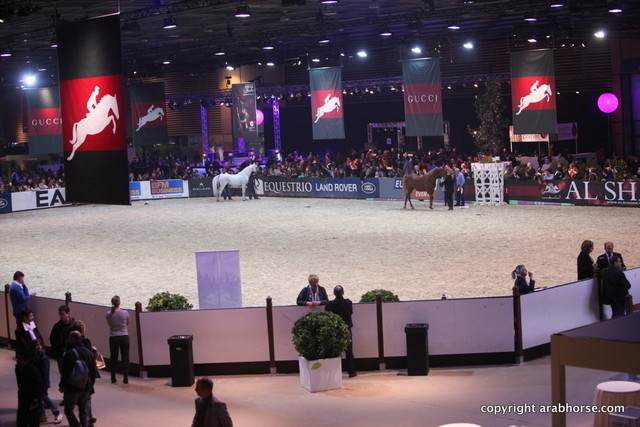 Salon du Cheval - Paris 2011