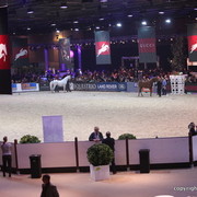 Salon du Cheval - Paris 2011