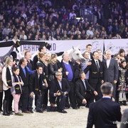 Salon du Cheval - Paris 2011