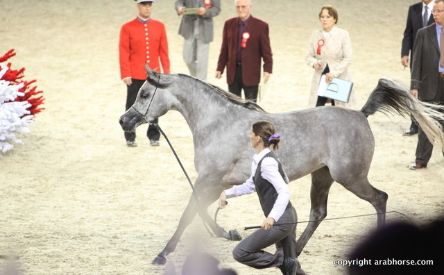 Salon du Cheval - Paris 2011