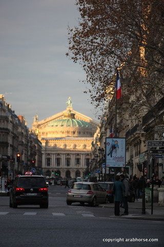 Salon du Cheval - Paris 2011