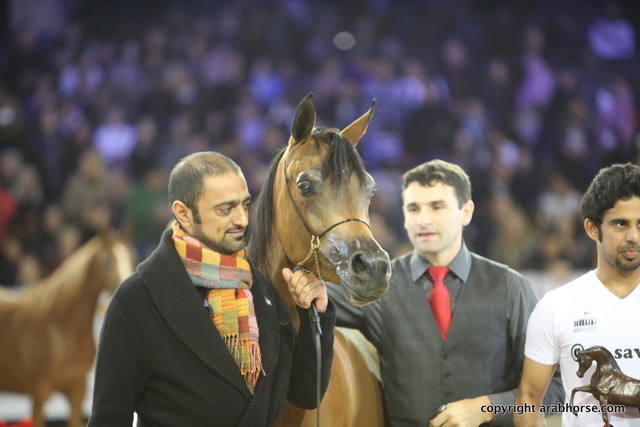 Salon du Cheval - Paris 2011
