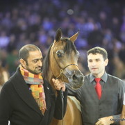 Salon du Cheval - Paris 2011