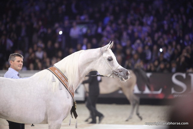 Salon du Cheval - Paris 2011