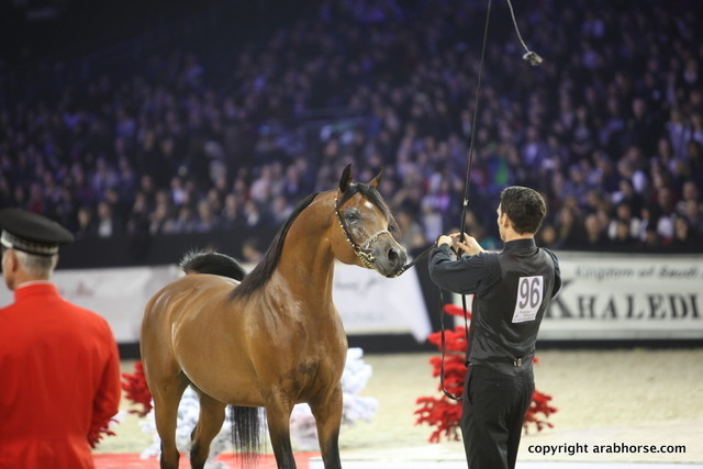 Salon du Cheval - Paris 2011