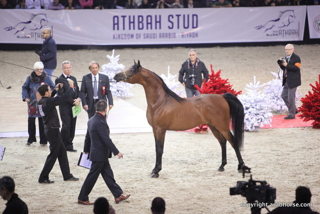 Salon du Cheval - Paris 2011