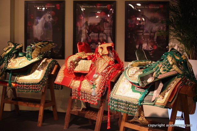 Salon du Cheval - Paris 2011