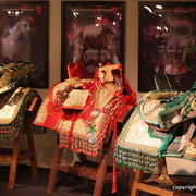 Salon du Cheval - Paris 2011