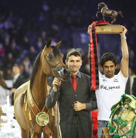 Salon du Cheval - Paris 2011