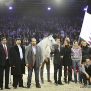 Salon du Cheval - Paris 2011