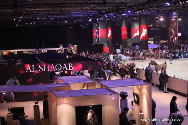 Salon du Cheval - Paris 2011