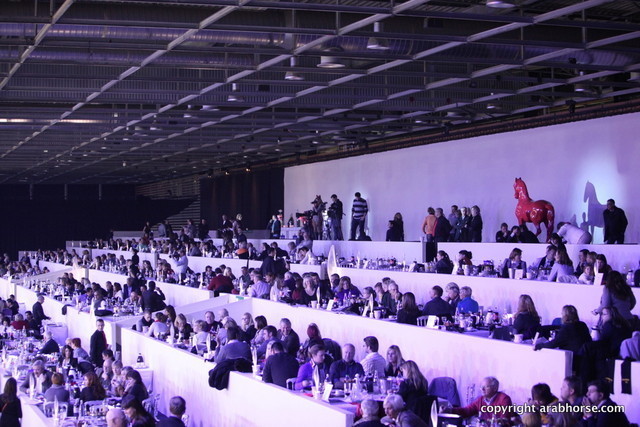 Salon du Cheval - Paris 2011