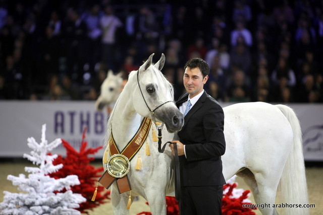 Salon du Cheval - Paris 2011