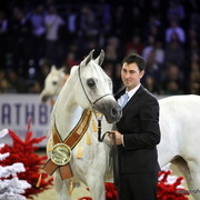 Salon du Cheval - Paris 2011