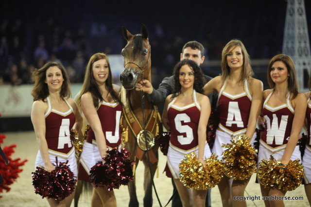 Salon du Cheval - Paris 2011