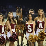 Salon du Cheval - Paris 2011