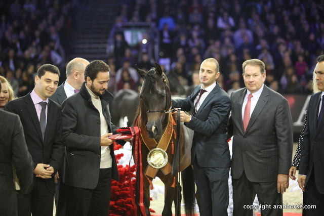 Salon du Cheval - Paris 2011