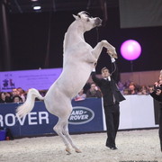 Salon du Cheval - Paris 2011