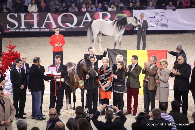 Salon du Cheval - Paris 2011