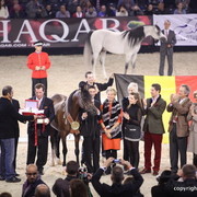 Salon du Cheval - Paris 2011