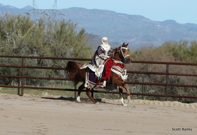 Farm Tour Day 1 - Battaglia / Culbreth
