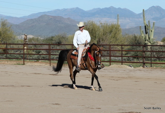Farm Tour Day 1 - Battaglia / Culbreth