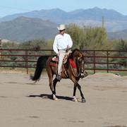 Farm Tour Day 1 - Battaglia / Culbreth