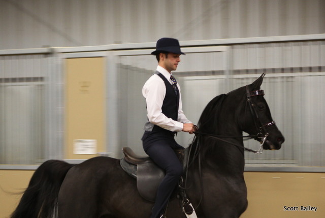 Arabhorse.com's very own Eric Mendrysa riding his new horse