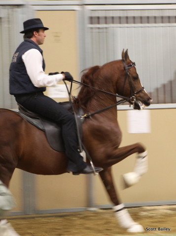 Farm Tour Day 1 - Battaglia / Culbreth