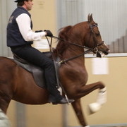 Farm Tour Day 1 - Battaglia / Culbreth