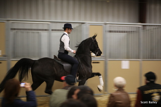 Farm Tour Day 1 - Battaglia / Culbreth