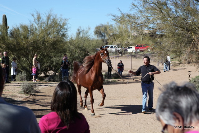 Farm Tour Day 2 - Holmes / McDonald / Rae Dawn
