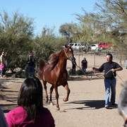 Farm Tour Day 2 - Holmes / McDonald / Rae Dawn
