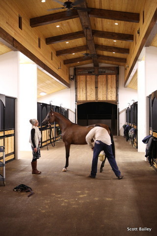 Farm Tour Day 2 - Holmes / McDonald / Rae Dawn