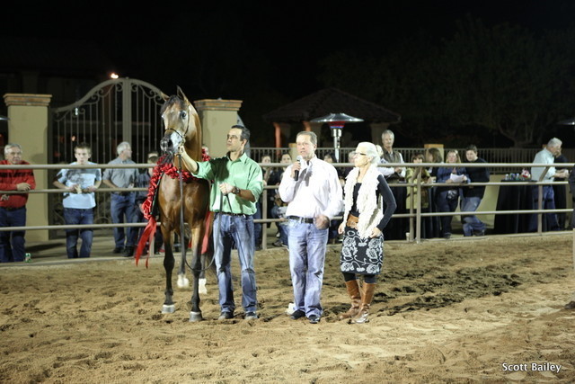 Farm Tour Day 2 - Holmes / McDonald / Rae Dawn