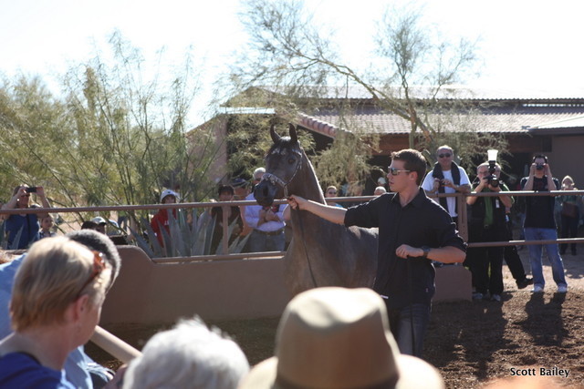 Farm Tour Day 2 - Holmes / McDonald / Rae Dawn