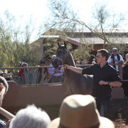 Farm Tour Day 2 - Holmes / McDonald / Rae Dawn