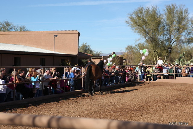 Farm Tour Day 2 - Holmes / McDonald / Rae Dawn