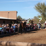 Farm Tour Day 2 - Holmes / McDonald / Rae Dawn