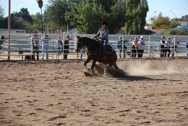Farm Tour Day 3 - McNutt / Arabian Expressions / Pomeroy & Aira