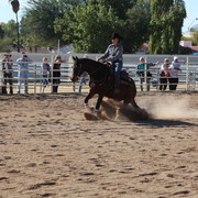 Farm Tour Day 3 - McNutt / Arabian Expressions / Pomeroy & Aira