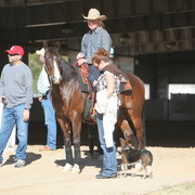 Farm Tour Day 3 - McNutt / Arabian Expressions / Pomeroy & Aira