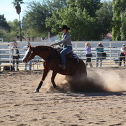 Farm Tour Day 3 - McNutt / Arabian Expressions / Pomeroy & Aira