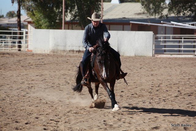 Farm Tour Day 3 - McNutt / Arabian Expressions / Pomeroy & Aira