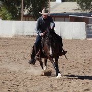 Farm Tour Day 3 - McNutt / Arabian Expressions / Pomeroy & Aira