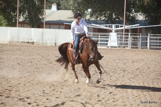 Farm Tour Day 3 - McNutt / Arabian Expressions / Pomeroy & Aira
