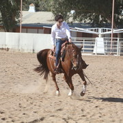 Farm Tour Day 3 - McNutt / Arabian Expressions / Pomeroy & Aira