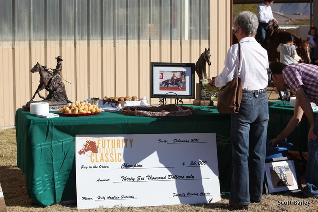 Farm Tour Day 3 - McNutt / Arabian Expressions / Pomeroy & Aira