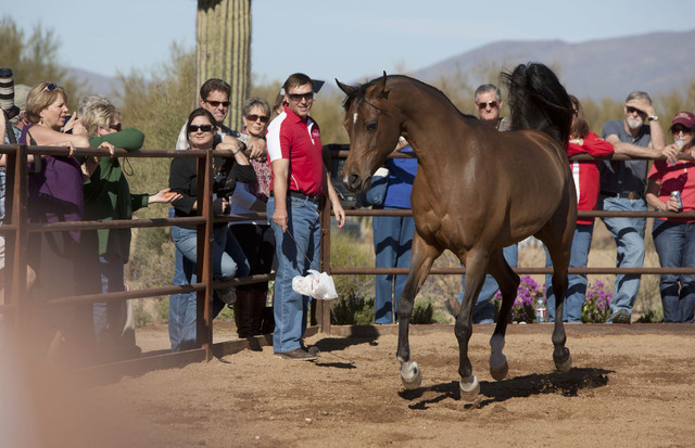 Farm Tour Day 4 - Stonewall / Guzzo / North / Midwest