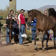 Farm Tour Day 4 - Stonewall / Guzzo / North / Midwest